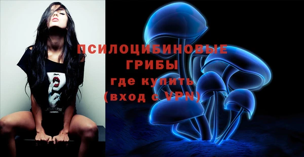 не бодяженный Беломорск