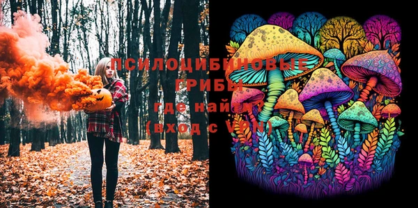 ПСИЛОЦИБИНОВЫЕ ГРИБЫ Белокуриха