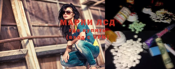ПСИЛОЦИБИНОВЫЕ ГРИБЫ Белокуриха