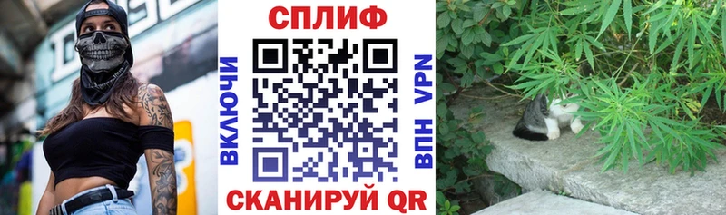 Бошки Шишки конопля Конаково